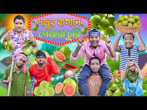 দাদুর বাগানে পেয়ারা চুরি 🍐 🍐 || দুই বন্ধুর এ কি বুদ্ধি 💡💡|| Bangla Funny Video 😁😁|| #banglahasirtv