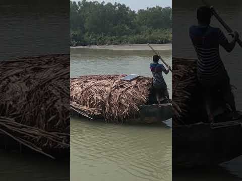 Sundarban fisherman #travel #bangladesh #fishing #ytshorts