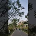 this rood 🙃 #shortvideo #whatsappstatus #viral #nature #bangladesh #travel #sreemongol #trending