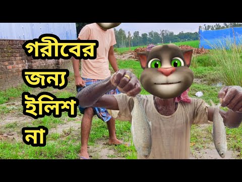 গরীবের জন্য ইংলিশ না || Talking Tom Bangla Funny | Talking Tom Bangla Comedy | কালা মফিজ |