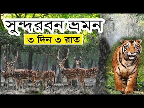 Sundarban tour – sundarban bangladesh – sundarban vlog – sundarban
