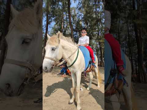 My son on the Horse #bangladesh #travel #trending #youtubeshorts #subscribe #shorts #short #viral