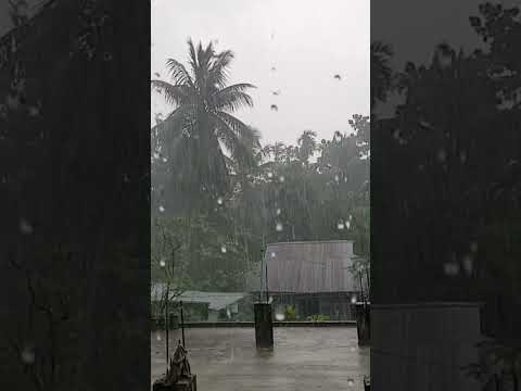 Raindrops! #bangladesh #travel #rain #shorts #shortvideo #short #village #rurallife
