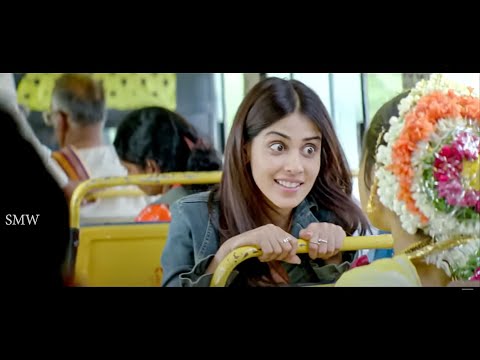 Genelia D'Souza Hindi Dubbed Movie | Tarun | Bhagambhag Love