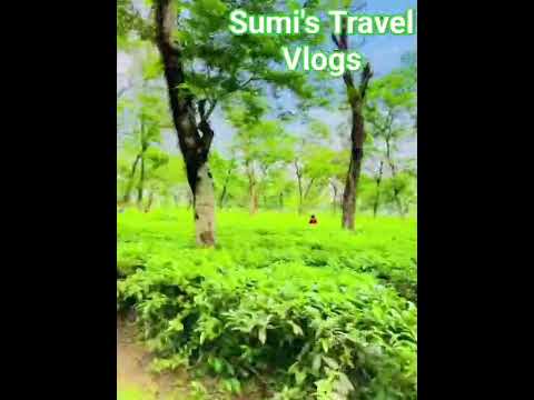 Srimongol tour | travel Bangladesh #nature #relaxingmusic #relaxation