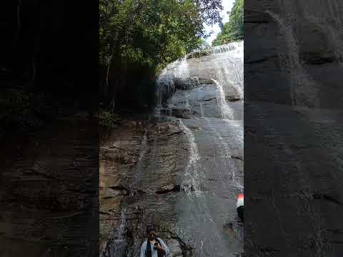 রহস্যময় পৃথিবী। 😱😱 #waterfall #travel #bangladesh #adventure #india