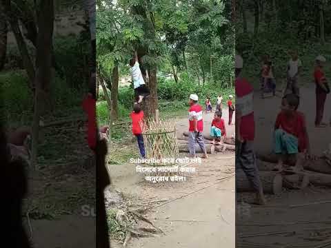 ফেলে আসা দিন গুলোকে খুব মিস করি#bangladesh #shortvideo #viral #travel#villagelife #barisal#nature