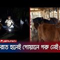 গরু চোর আতঙ্কে ঝিনাইদহের ৩ গ্রামের মানুষ | Jhenaidah | Cow Thief | Jamuna TV