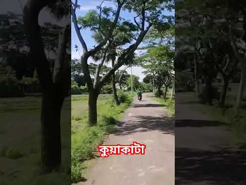 কুয়াকাটা ভ্রমণ। #shorts #viral #travel #bangladesh