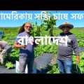 আমেরিকার মাটিতে দেশি সব্জির বাম্পার ফলন || Success Story of Bangladeshi Farmers in the USA.