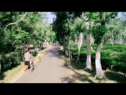 মাধবপুর  লেক যাওয়া  সময়।Narsingdi#videos #viralvideo #viral #travel #bangladesh