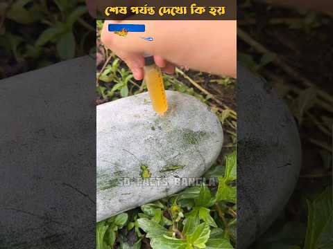 ফ্রি ফ্রুটি খাওয়া বেরিয়ে গেছে 🤣😂 bengali funny comedy shorts videos #shorts #viral #banglacomedy