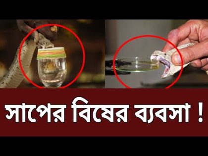 লাভের ব্যবসা , সাপের বিষের ব্যবসা ! | Ghotonar Ontorale | EP 23 | Crime Show | Mytv