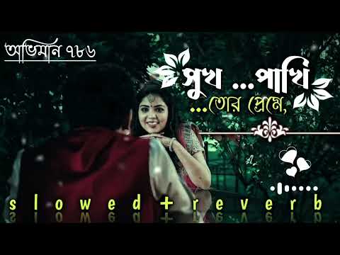 সুখ পাখি তোর প্রেমে( slowed reverb) sukh pakhi tor preme lo-fi song Bangla