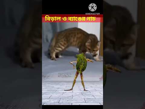 Bangla Funny video / #shorts #youtubeshorts