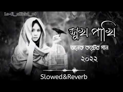 Shukh Pakhi  | সুখ পাখি  (Slowed+Reverb) বাংলা কষ্টের গান | Lofi Music Bangla Song Video