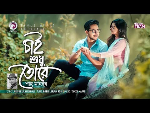 Chai Shudhu Tore | চাই শুধু তোরে | Shah Mahbub | Bangla Song | Official Music Video