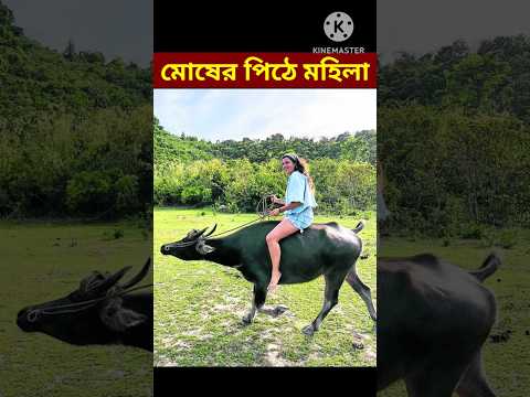 Bangla Funny video / #shorts #youtubeshorts