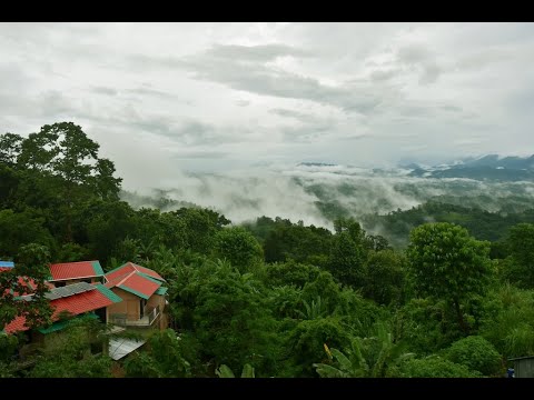 #bangladesh #sajek_valley #sajek #travel #motivation | Pantho Afzal