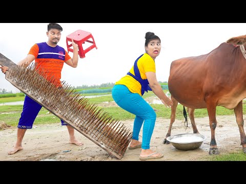 Very Special Trending Funny Comedy Video 2023😂Amazing Comedy Video 2023 Episode 237 busyfun