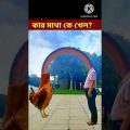 Bangla Funny Video / #shorts #youtubeshorts
