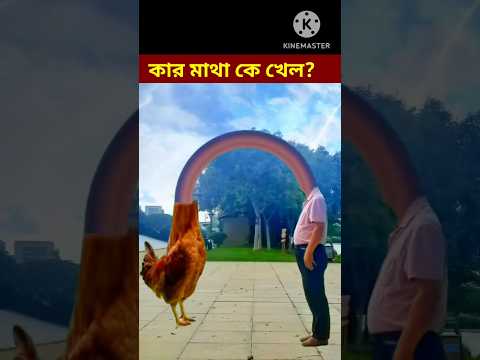 Bangla Funny Video / #shorts #youtubeshorts