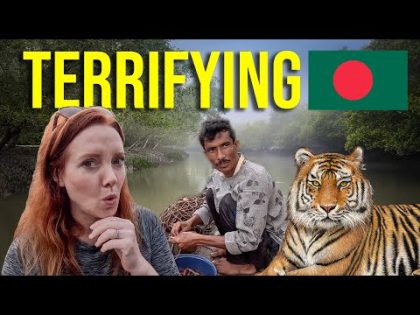 I Don't FEEL SAFE in Bangladesh…tiger attacks happen here! 🇧🇩