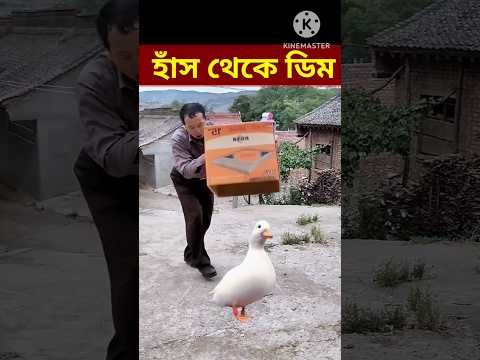 Magic /😛 😄😛😛Bangla Funny video / #shorts #youtubeshorts