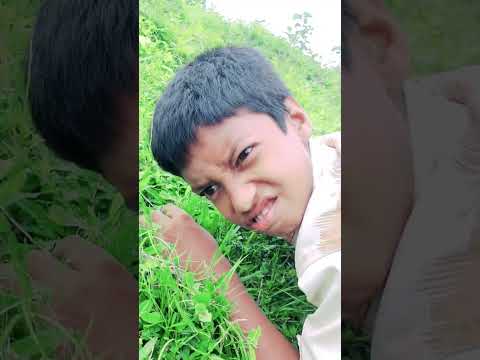 Bangla Funny video | z1m entertainment |