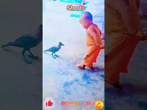 #songs#music# Bangla# music#bangla#gaan#Bengali# music#Shorts#viralshorts#funny song cover video🌺🌺