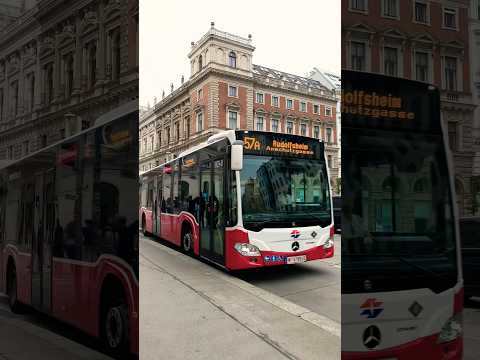 vienna #shorts #viral #train #bus #india #indian #bangladesh #indonesia #travelvlog #travel #love