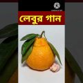 Bangla Funny Video / #shorts  #youtubeshorts