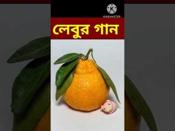 Bangla Funny Video / #shorts  #youtubeshorts