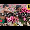 Discover the Enchanting Beauty of Bangladesh in 8K | Travel to Bangladesh | Natural Wonders Unveiled