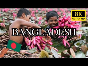 Discover the Enchanting Beauty of Bangladesh in 8K | Travel to Bangladesh | Natural Wonders Unveiled