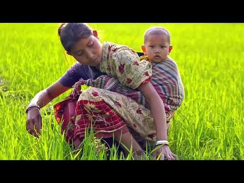 Bangladesh national song, Amer sonar Bangla …..?