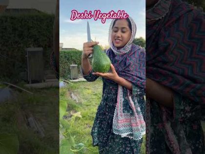 Deshi vegetable cultivate in Denmark 🇩🇰 #bangladesh #germanvillage #viral #food #travel #vlog