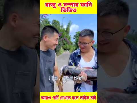 🤣 চম্পা ও রাজুর ফানি ভিডিও😝। পার্ট-3। Chinese funny comedy video #funnyvideo #funny #comedy