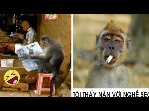 Funny video 2022🤣🤣bangla funny video