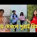 Bangla 💔 TikTok Videos | হাঁসি না আসলে এমবি ফেরত (পর্ব-237) | Bangla Funny TikTok #RMPTIKTOK