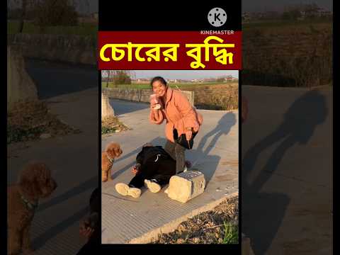 Bangla Funny Video 😛 😜 😍 😜 /  #shorts #youtubeshorts