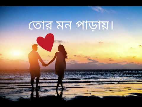 🏵️ তোর মন পাড়ায় 🏵️ tor mon paray 🎶 Bangla song #love #bangla #video #viralvideo