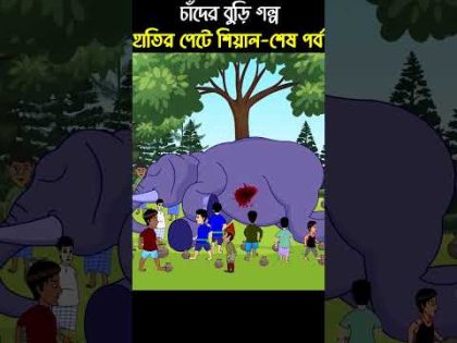 Chander Buri Bangla Cartoon | Bhuter Cartoon | Hatir Pete Shial 04 #story 226 #shorts