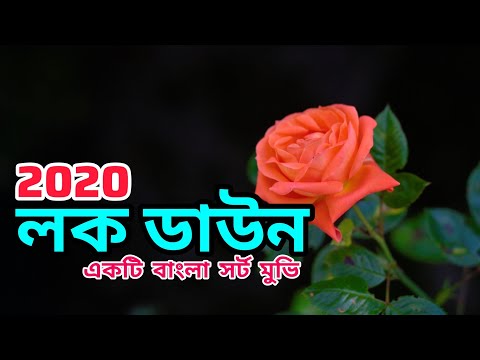 Lock Down 2020 | Bangla Short Movie | Bangla Short Film | Bangla Natok | Bengali Short Movie | Natok