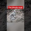 The bloody mud – world war documentary #documentary #shorts