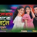 ভালোবাসা কাকে বলে | Happy New Year | 2024 Special Song | Bangla Hit Song | Ashidul Music Company