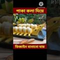 Bangla Funny Video 😛 😜 😍 😜 / #shorts #youtubeshorts