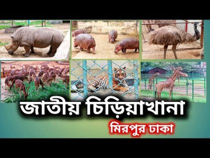 জাতীয় চিড়িয়াখানা | National Zoo | Bangladesh National Zoo | নতুন সময়সূচী | Travel National Zoo