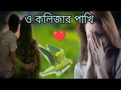 ও কলিজার পাখি  | O Kolizar pakhi  | music song | samz vai  | Bangla music song 2023