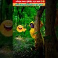এলিয়েন যখন পৃথিবীতে চলে আসে😂|bangla funny video😁shorts#comedy #fact #viralfact #factsznly #viral
